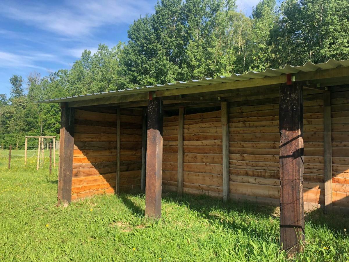 Joff Villa Budingen Buitenkant foto